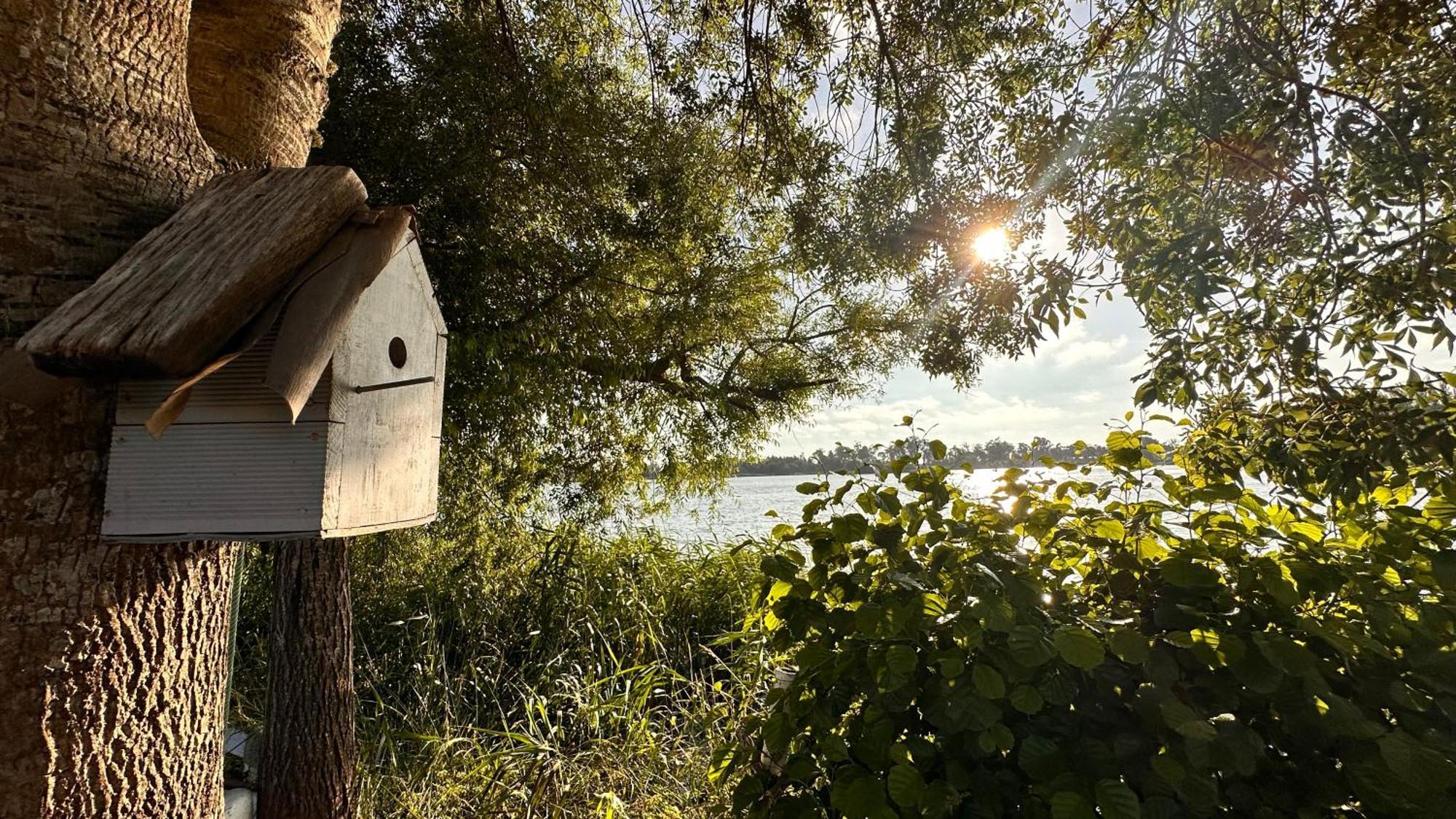 Casa Do Areal, Refugio Das Rotas Pedestres Em Mira Mira  Exterior foto